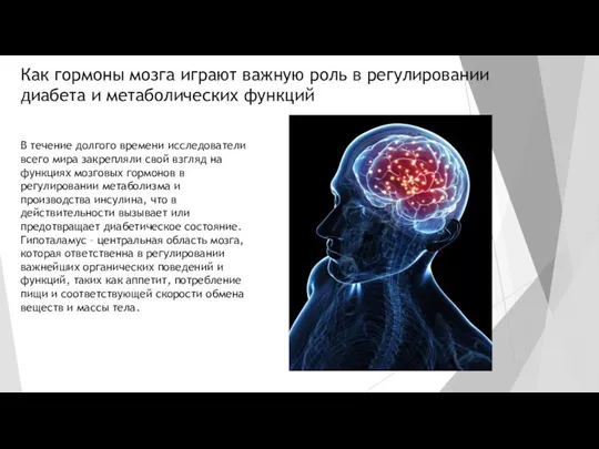 Как гормоны мозга играют важную роль в регулировании диабета и метаболических функций