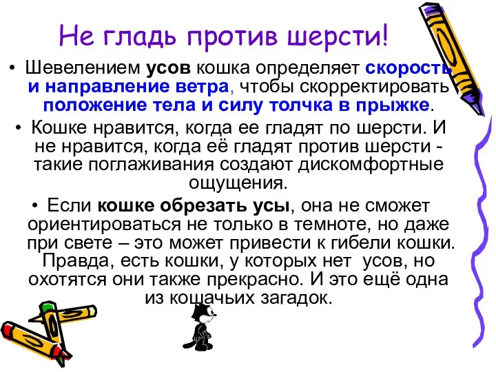 Не гладь против шерсти! Шевелением усов кошка определяет скорость и направление ветра,