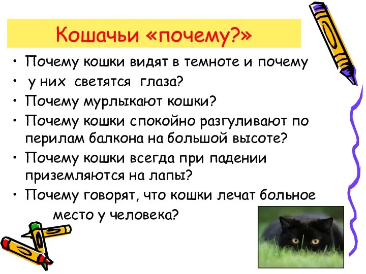 Кошачьи «почему?» Почему кошки видят в темноте и почему у них светятся