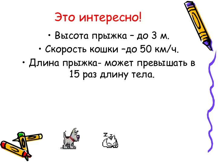 Это интересно! Высота прыжка – до 3 м. Скорость кошки –до 50