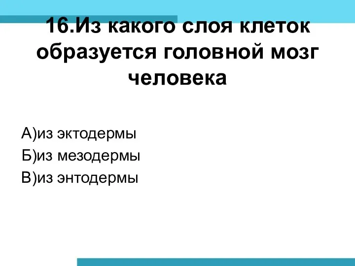 16.Из какого слоя клеток образуется головной мозг человека А)из эктодермы Б)из мезодермы В)из энтодермы