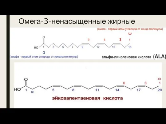 Омега-3-ненасыщенные жирные кислоты