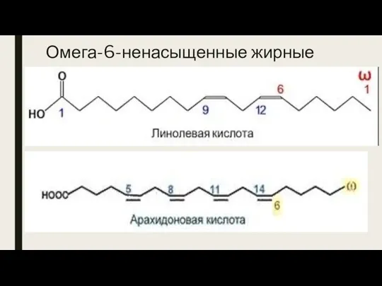 Омега-6-ненасыщенные жирные кислоты