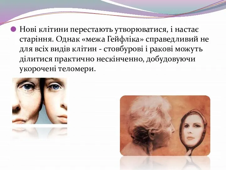 Нові клітини перестають утворюватися, і настає старіння. Однак «межа Гейфліка» справедливий не