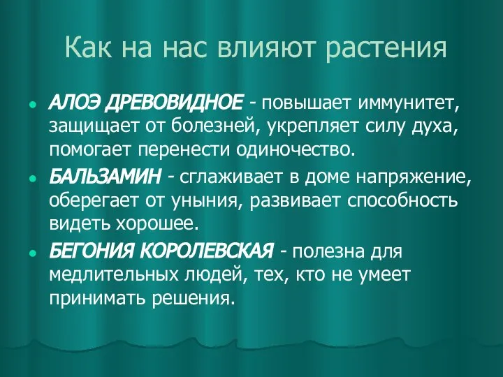 Как на нас влияют растения АЛОЭ ДРЕВОВИДНОЕ - повышает иммунитет, защищает от