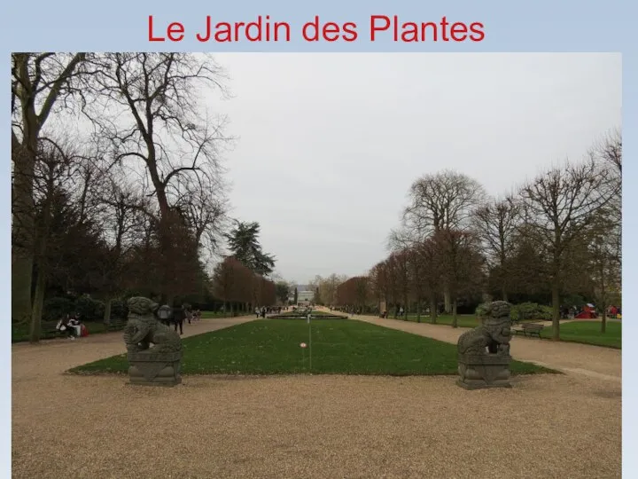 Le Jardin des Plantes