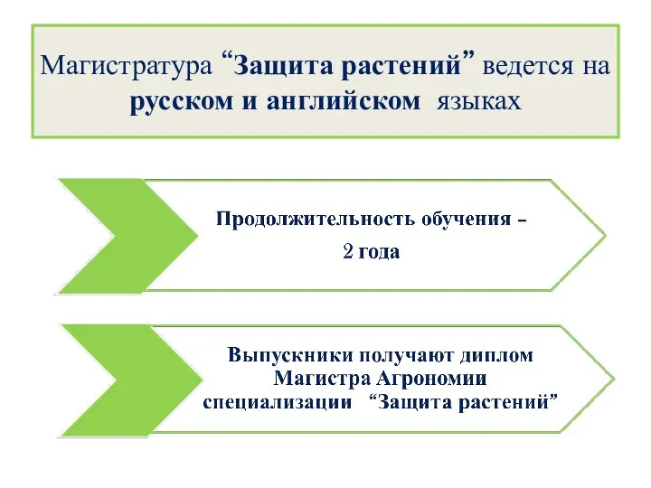 Магистратура “Защита растений” ведется на русском и английском языках