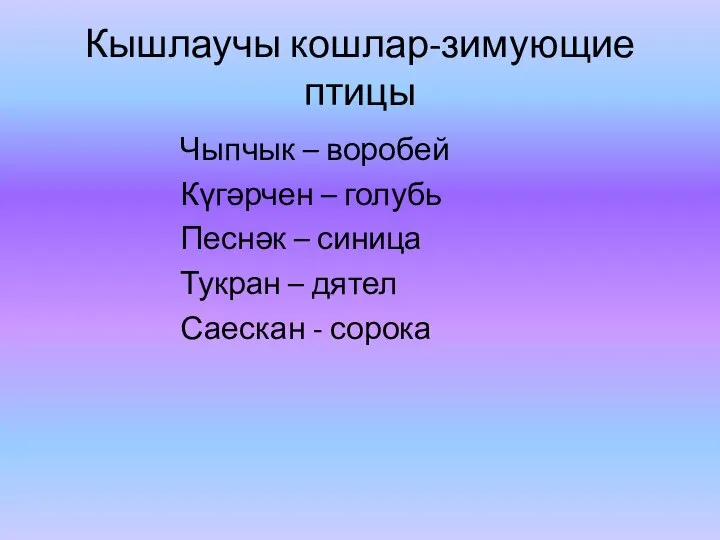 Кышлаучы кошлар-зимующие птицы Чыпчык – воробей Күгәрчен – голубь Песнәк – синица