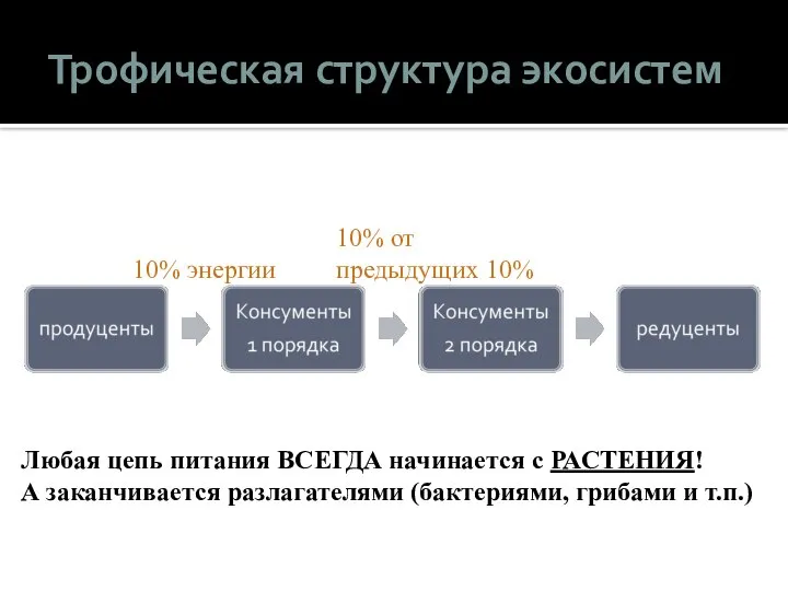 Трофическая структура экосистем 10% энергии 10% от предыдущих 10% Любая цепь питания