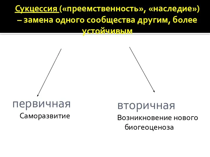 Сукцессия («преемственность», «наследие») – замена одного сообщества другим, более устойчивым первичная Саморазвитие вторичная Возникновение нового биогеоценоза