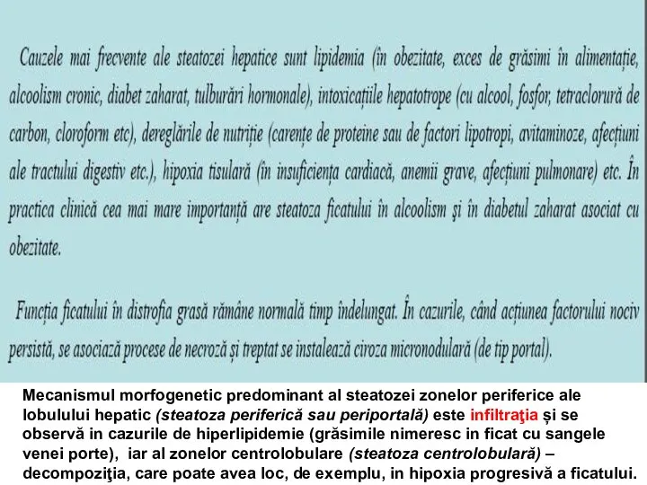 Mecanismul morfogenetic predominant al steatozei zonelor periferice ale lobulului hepatic (steatoza periferică