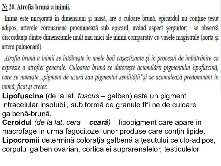 Lipofuscina (de la lat. fuscus – galben) este un pigment intracelular insolubil,