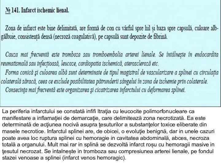 La periferia infarctului se constată infifi ltraţia cu leucocite polimorfonucleare ca manifestare