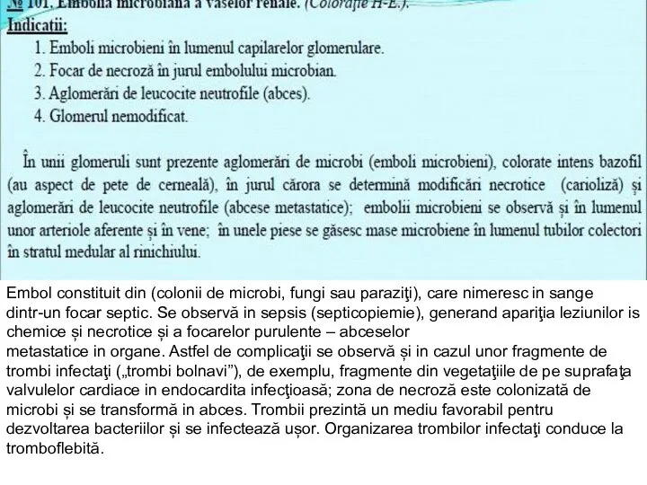 Embol constituit din (colonii de microbi, fungi sau paraziţi), care nimeresc in