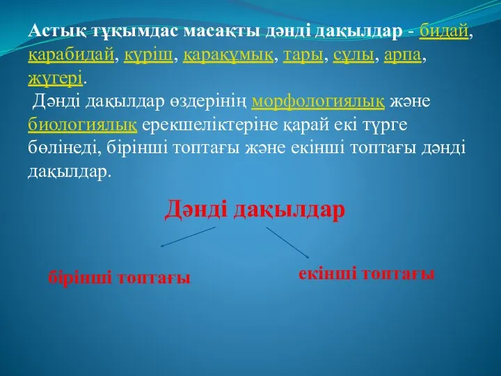 Астық тұқымдас масақты дәнді дақылдар - бидай, қарабидай, күріш, қарақұмық, тары, сұлы,