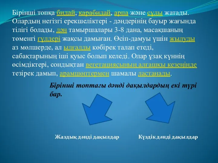 Бірінші топқа бидай, қарабидай, арпа және сұлы жатады. Олардың негізгі ерекшеліктері -