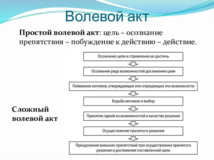 Волевой акт Простой волевой акт: цель – осознание препятствия – побуждение к