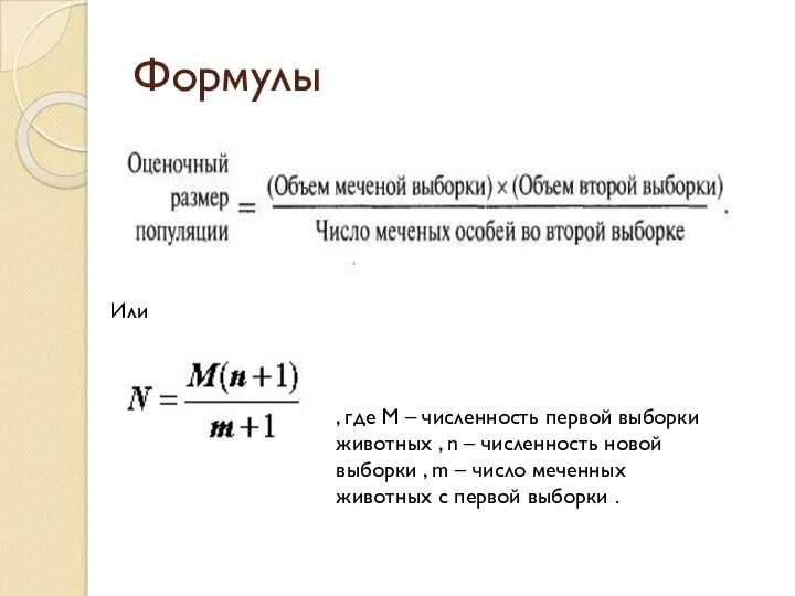 Формулы Или , где M – численность первой выборки животных , n