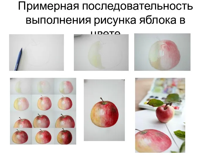 Примерная последовательность выполнения рисунка яблока в цвете