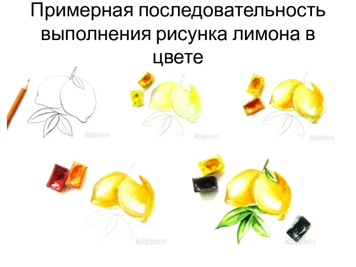 Примерная последовательность выполнения рисунка лимона в цвете