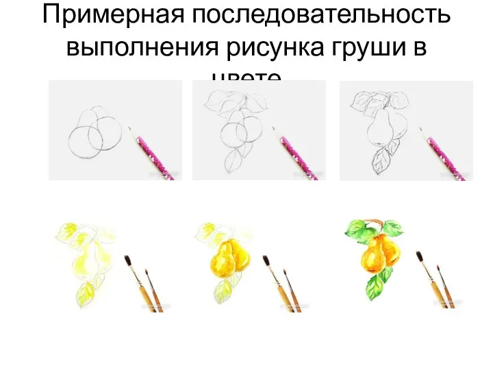 Примерная последовательность выполнения рисунка груши в цвете