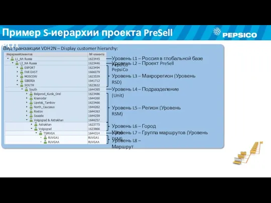 Пример S-иерархии проекта PreSell PO1 Вид транзакции VDH2N – Display customer hierarchy: