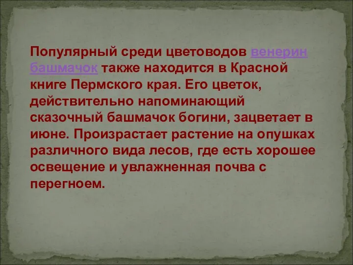 Популярный среди цветоводов венерин башмачок также находится в Красной книге Пермского края.