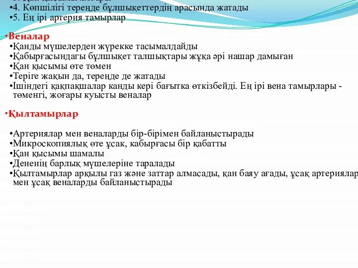 Артериялар 1. Қанды жүректен алып шығып, мүшелерге таратады 2. Қабырғасындағы бұлшықет талшықтары