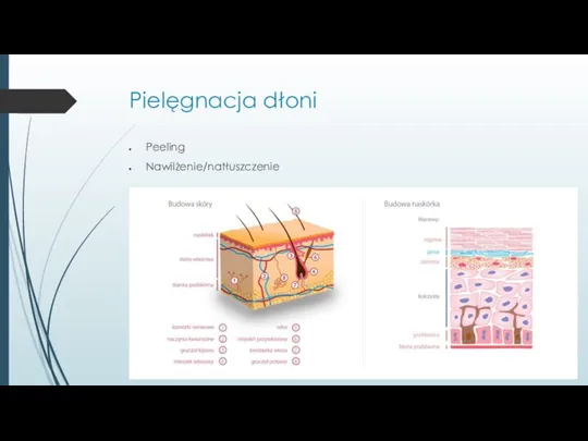 Pielęgnacja dłoni Peeling Nawilżenie/natłuszczenie