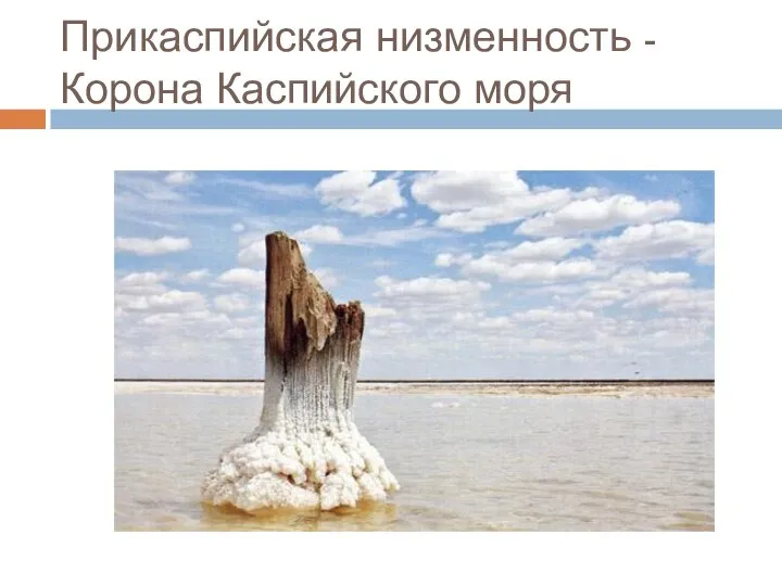 Прикаспийская низменность - Корона Каспийского моря