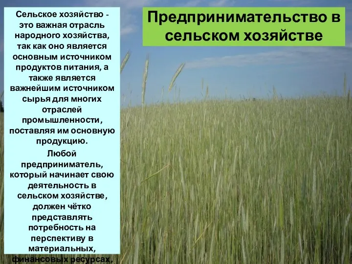 Предпринимательство в сельском хозяйстве Сельское хозяйство - это важная отрасль народного хозяйства,