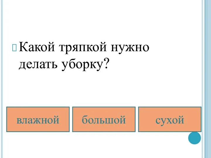 Какой тряпкой нужно делать уборку? влажной большой сухой