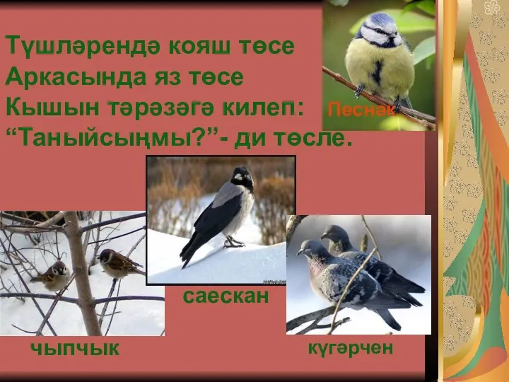 Түшләрендә кояш төсе Аркасында яз төсе Кышын тәрәзәгә килеп: “Таныйсыңмы?”- ди төсле. чыпчык саескан күгәрчен Песнәк