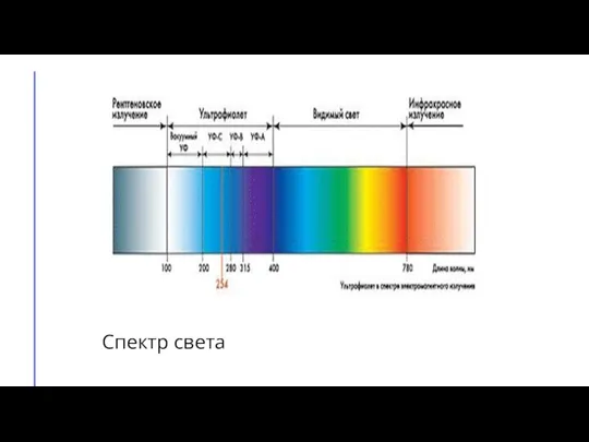 Спектр света