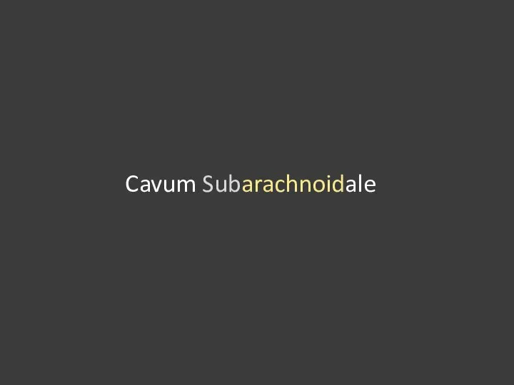 Cavum Subarachnoidale