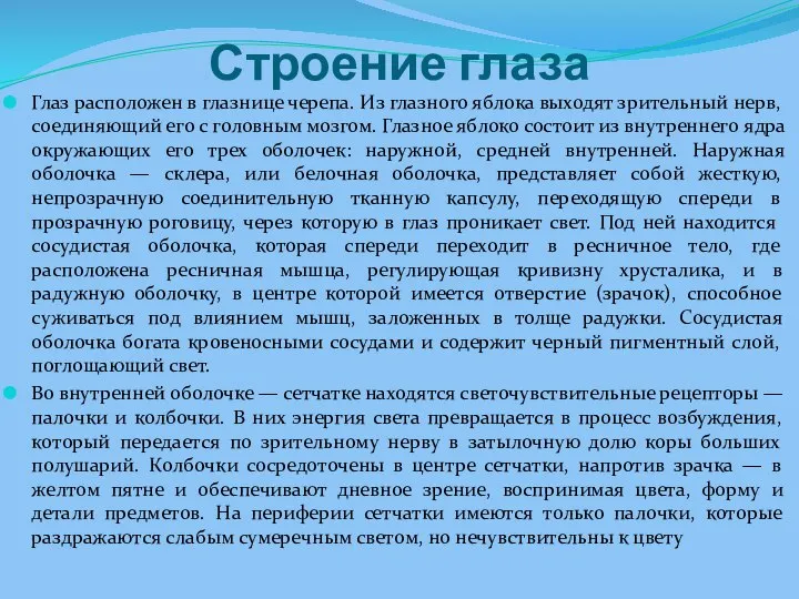 Строение глаза Глаз расположен в глазнице черепа. Из глазного яблока выходят зрительный