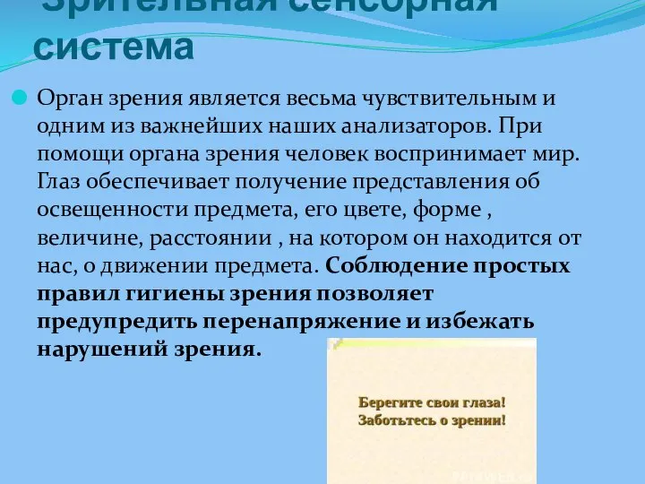 Зрительная сенсорная система Орган зрения является весьма чувствительным и одним из важнейших