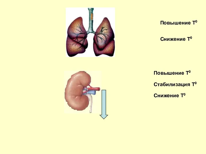 Повышение Т0 Снижение Т0 Повышение Т0 Стабилизация Т0 Снижение Т0