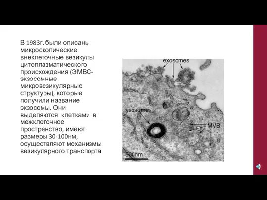 В 1983г. были описаны микроскопические внеклеточные везикулы цитоплазматического происхождения (ЭМВС-экзосомные микровезикулярные структуры),
