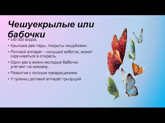 Чешуекрылые или бабочки 140 000 видов. Крыльев две пары, покрыты чешуйками. Ротовой