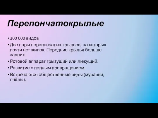 Перепончатокрылые 300 000 видов Две пары перепончатых крыльев, на которых почти нет