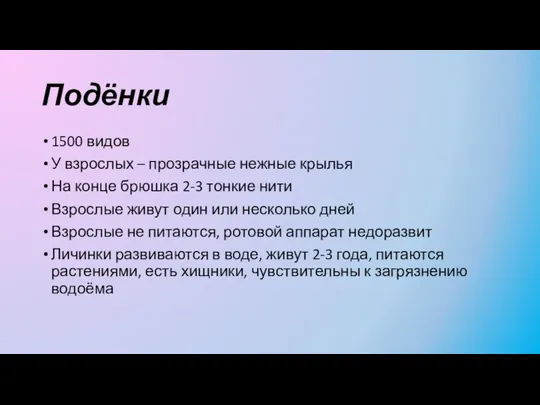 Подёнки 1500 видов У взрослых – прозрачные нежные крылья На конце брюшка