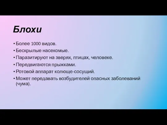 Блохи Более 1000 видов. Бескрылые насекомые. Паразитируют на зверях, птицах, человеке. Передвигаются