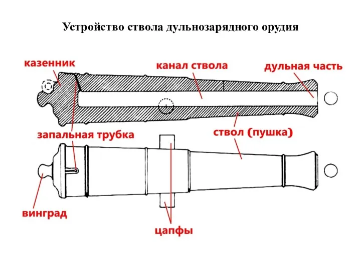 Устройство ствола дульнозарядного орудия