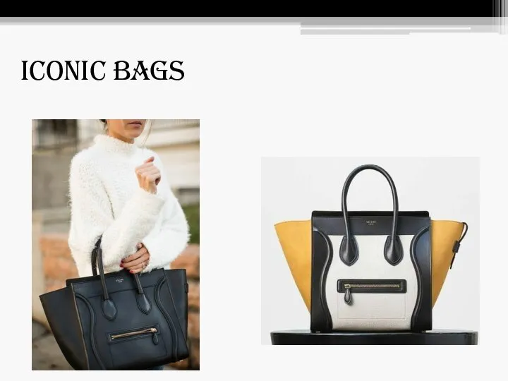 Iconic Bags