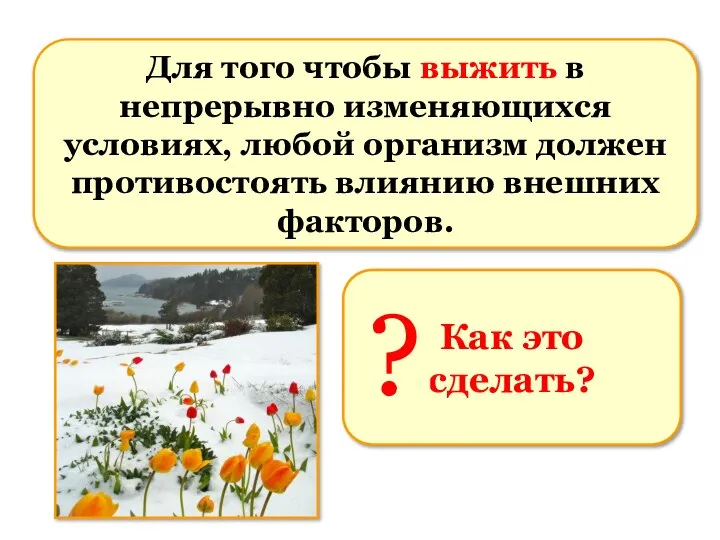 Для того чтобы выжить в непрерывно изменяющихся условиях, любой организм должен противостоять