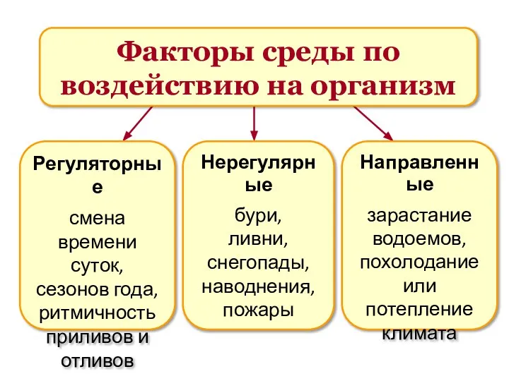 Факторы среды по воздействию на организм Регуляторные смена времени суток, сезонов года,