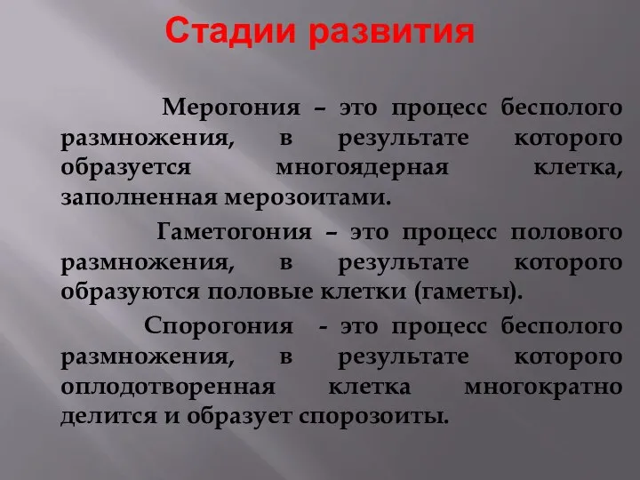 Стадии развития Мерогония – это процесс бесполого размножения, в результате которого образуется