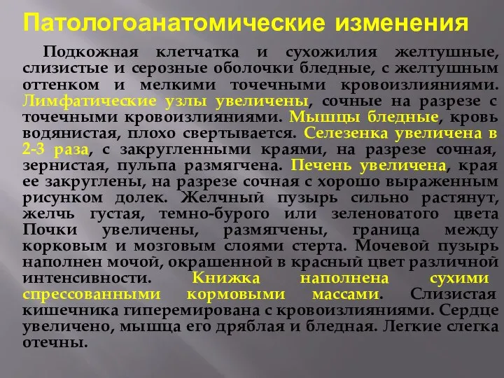 Патологоанатомические изменения Подкожная клетчатка и сухожилия желтушные, слизистые и серозные оболочки бледные,