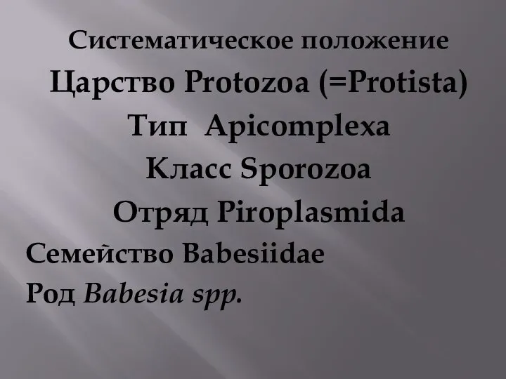 Систематическое положение Царство Protozoa (=Protista) Тип Apicomplexa Класс Sporozoa Отряд Piroplasmida Семейство Babesiidae Род Babesia spp.